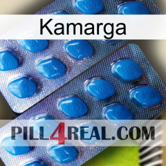 Kamarga viagra2
